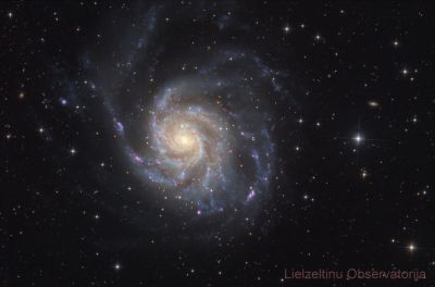 M101