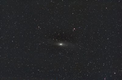 M31