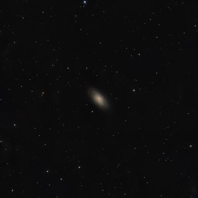 M64