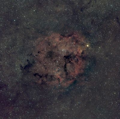 IC1396