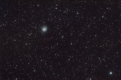 M101