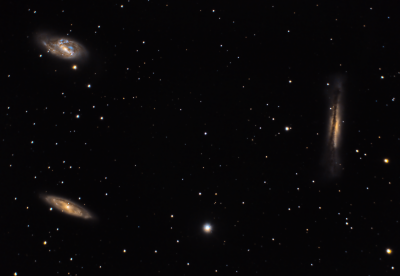 Leo Triplet