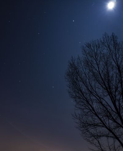 луна покинула чат