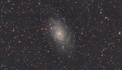 M33