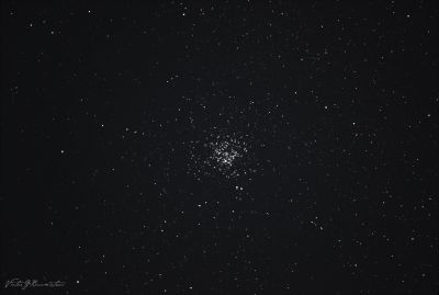 М17 Дикая утка