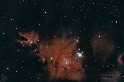 NGC 2264 - Cone Nebula and Christmas Tree Cluster