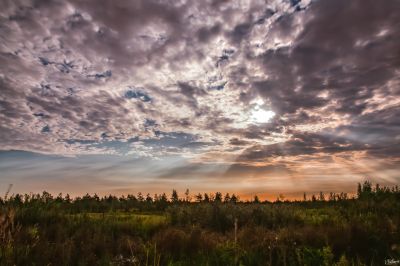 В лунном свете