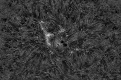 2020.08.10 Sun AR12770 H-Alpha