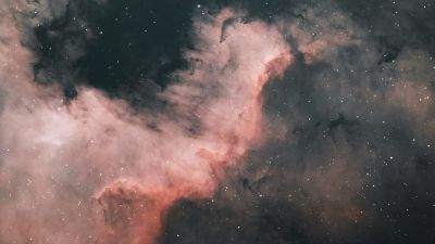 NGC 7000, «Стена Лебедя» 01.10.2025