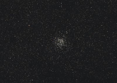 M11 "Дикие утки"