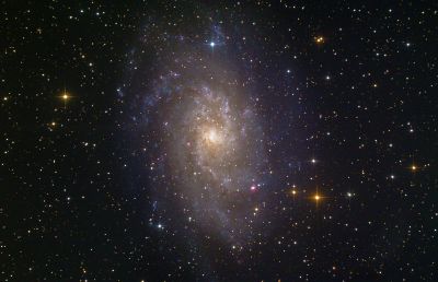 M33