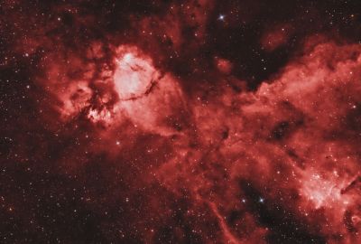  Туманность IC1795 Голова рыбы