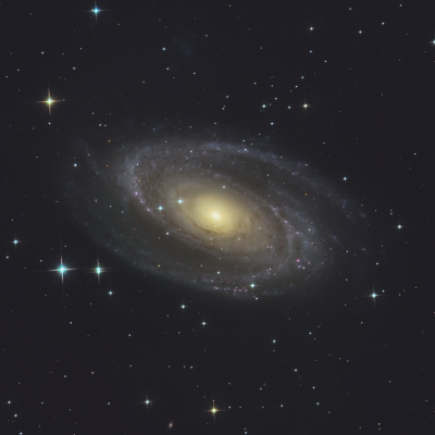 M81