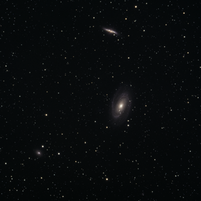 M81