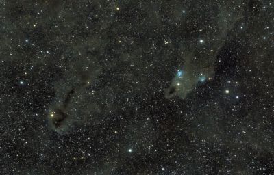 Dark Shark nebula