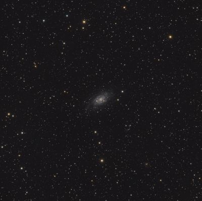 NGC 2403