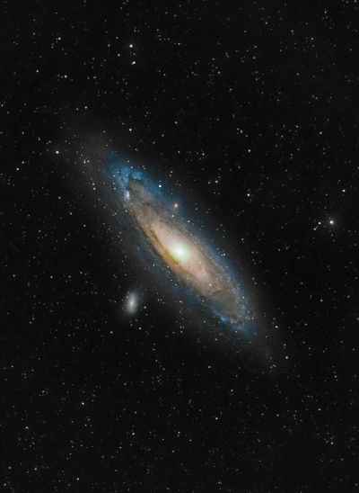 M31