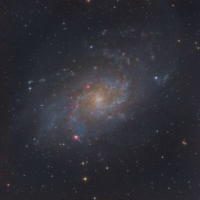 M33