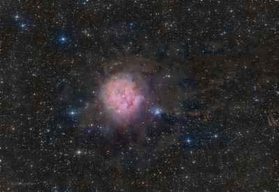 IC 5146 Cocoon