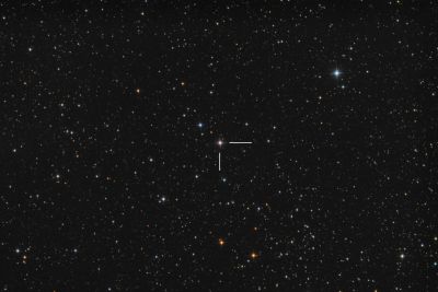 Новая N Cas 2021