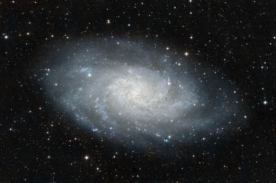 M33