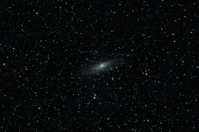 M31