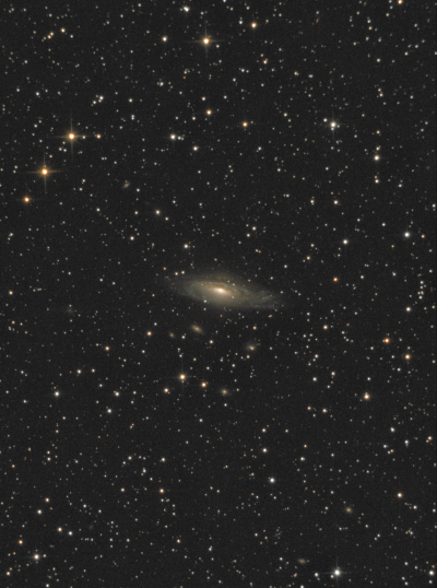 NGC7331