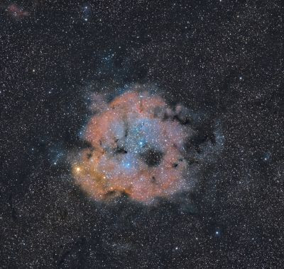 Туманность Хобот Слона (IC 1396A)