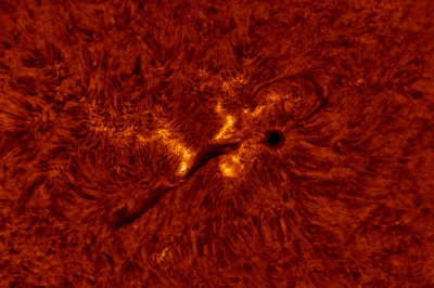 2020.06.10 Sun AR12765 H-Alpha (color)