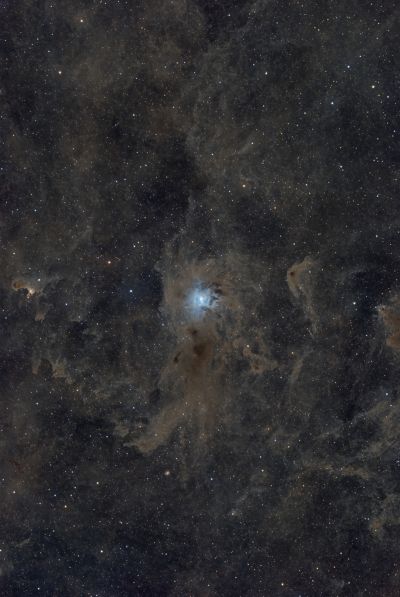 NGC 7023 - Iris