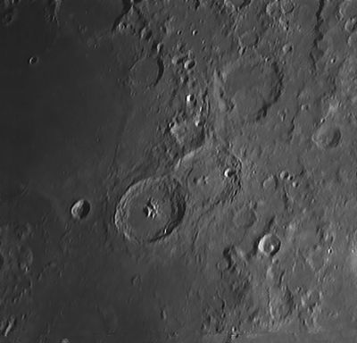 Теофил, Кирилл, Катарина 08.08.20