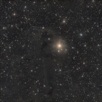 LDN 1251 - Гнилая рыба