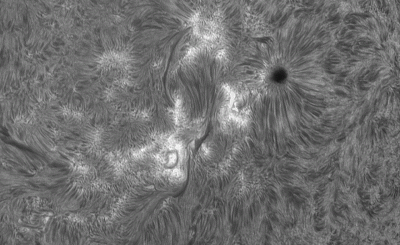 Анимация АР4087 за 40мин