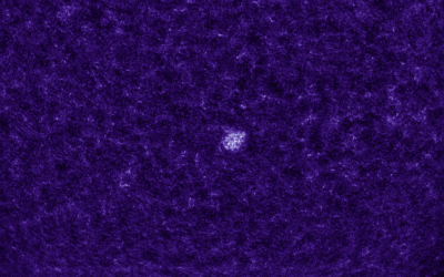 2020.10.25 Sun AR CaK (color)