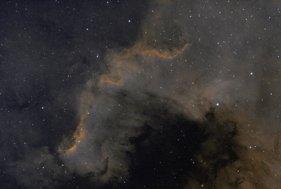 NGC7000