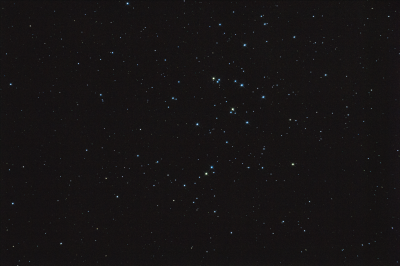 Звездное скопление М44 Ясли (Улей). 31.01.2025