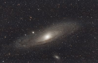 M31