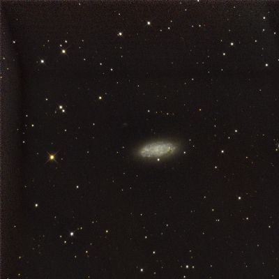 NGC2976