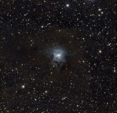 Ирис NGC 7023