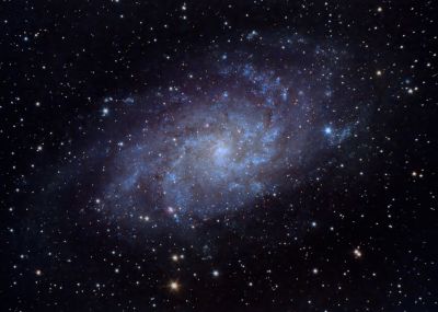 M33 