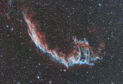 NGC6995 "The Bat Nebula"