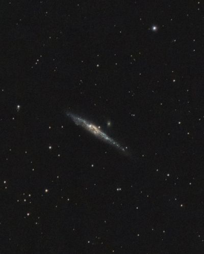 NGC 4631 - Whale Galaxy