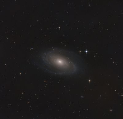 M81