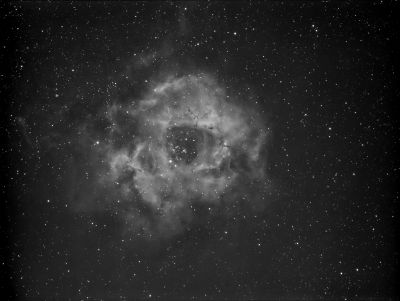 Rosette Nebula (NGC 2237) only Ha