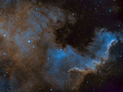 NGC 7000