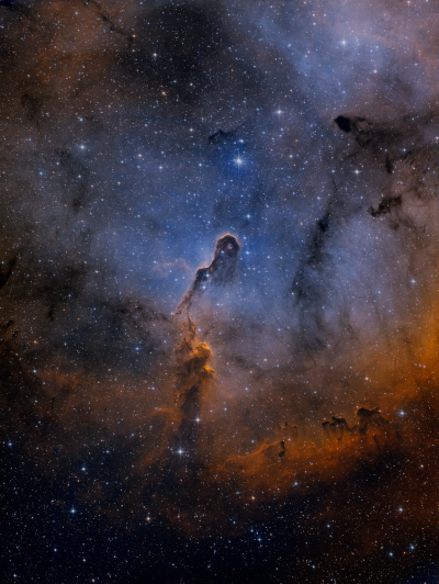 IC 1396 (Elephant's Trunk Nebula)