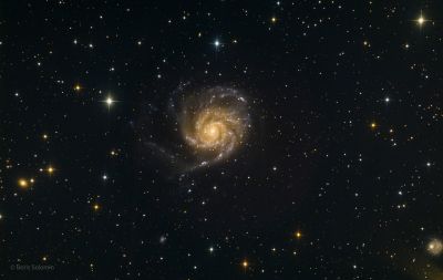 M101
