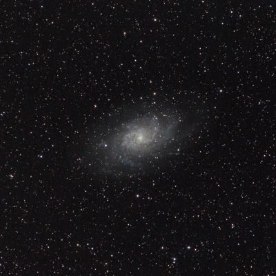 M33