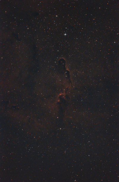 Туманность "Хобот слона"