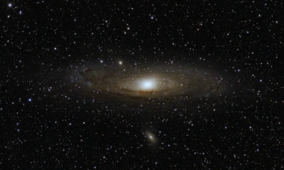 M31